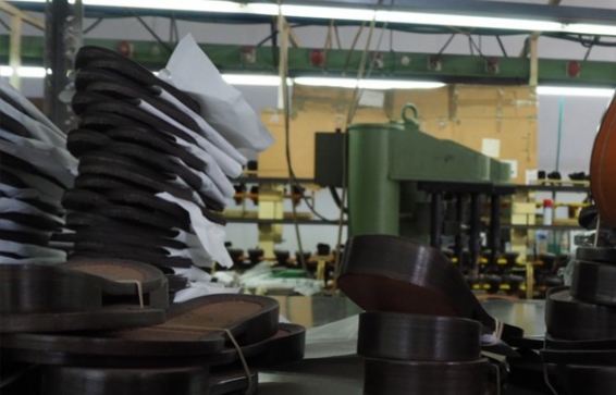 Un año para no parar