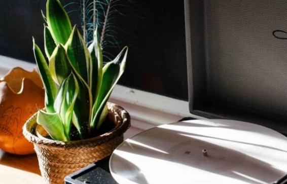 ¿Celebras el Día Mundial del Swing?